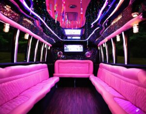 Sweet Sixteen Party Bus Interior