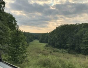 Serene meadow nestled between lush green forests in a New Jersey National Park.