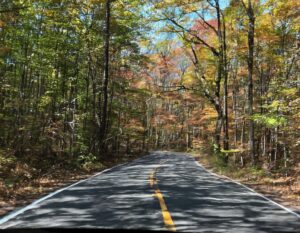 Scenic autumn road winding through New Jersey forest.