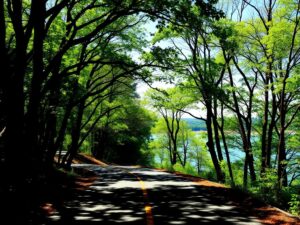 Scenic New Jersey road winding through lush trees alongside a lake; perfect for a memorable limo ride.