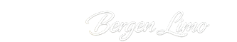 noiconlogo